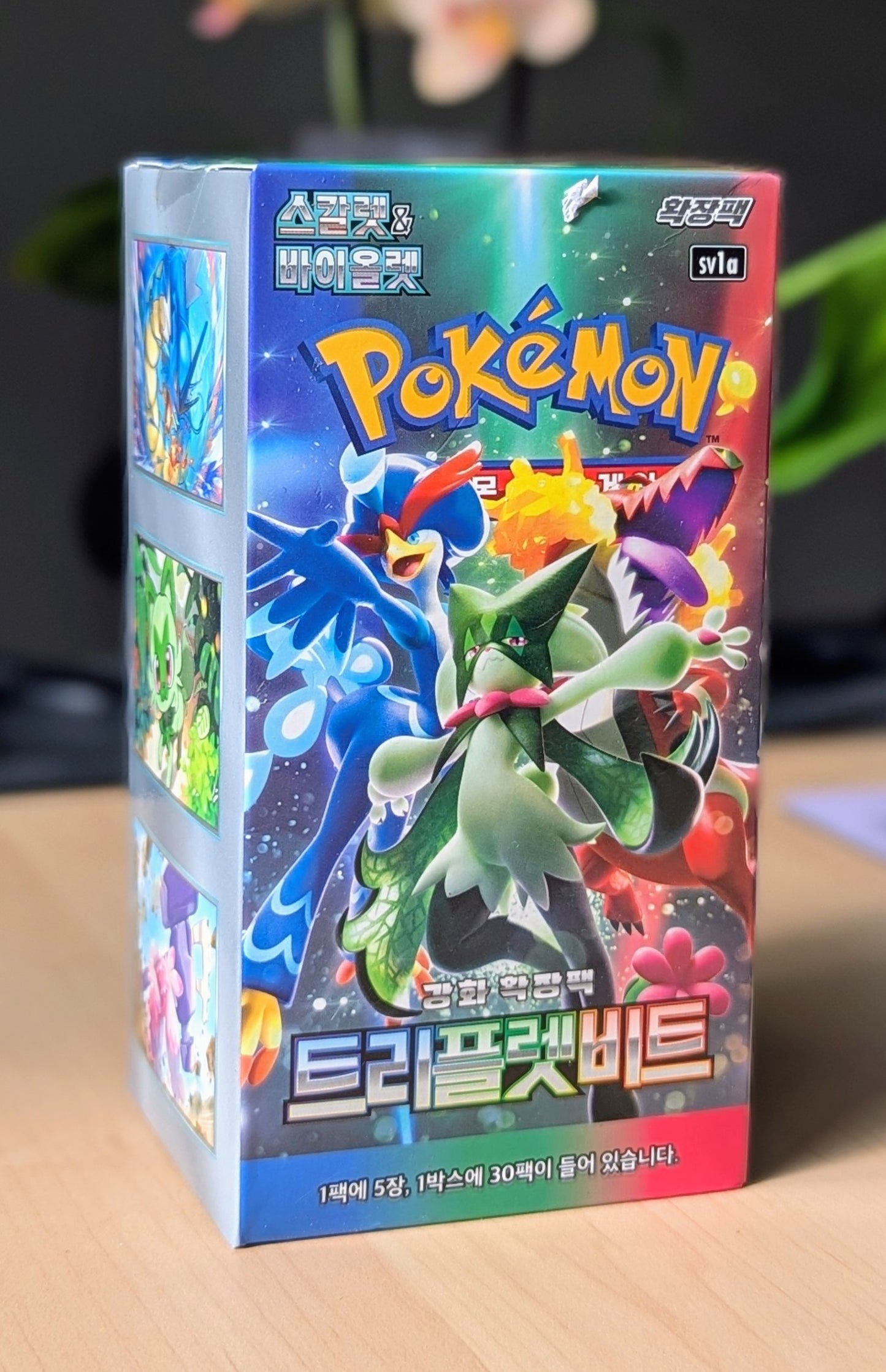 Pokemon Triple Beat Booster Box (Korean)