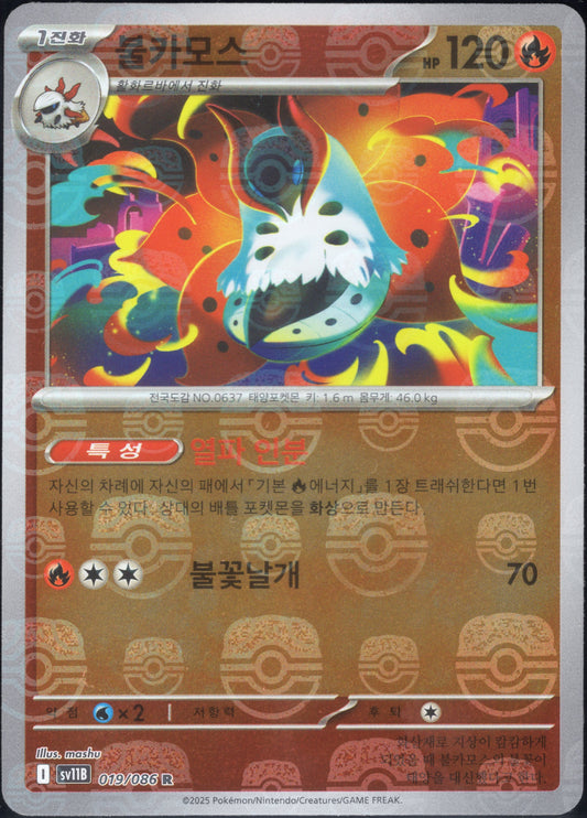 Volcarona Master Ball (019/086)[Black Bolt][KR]