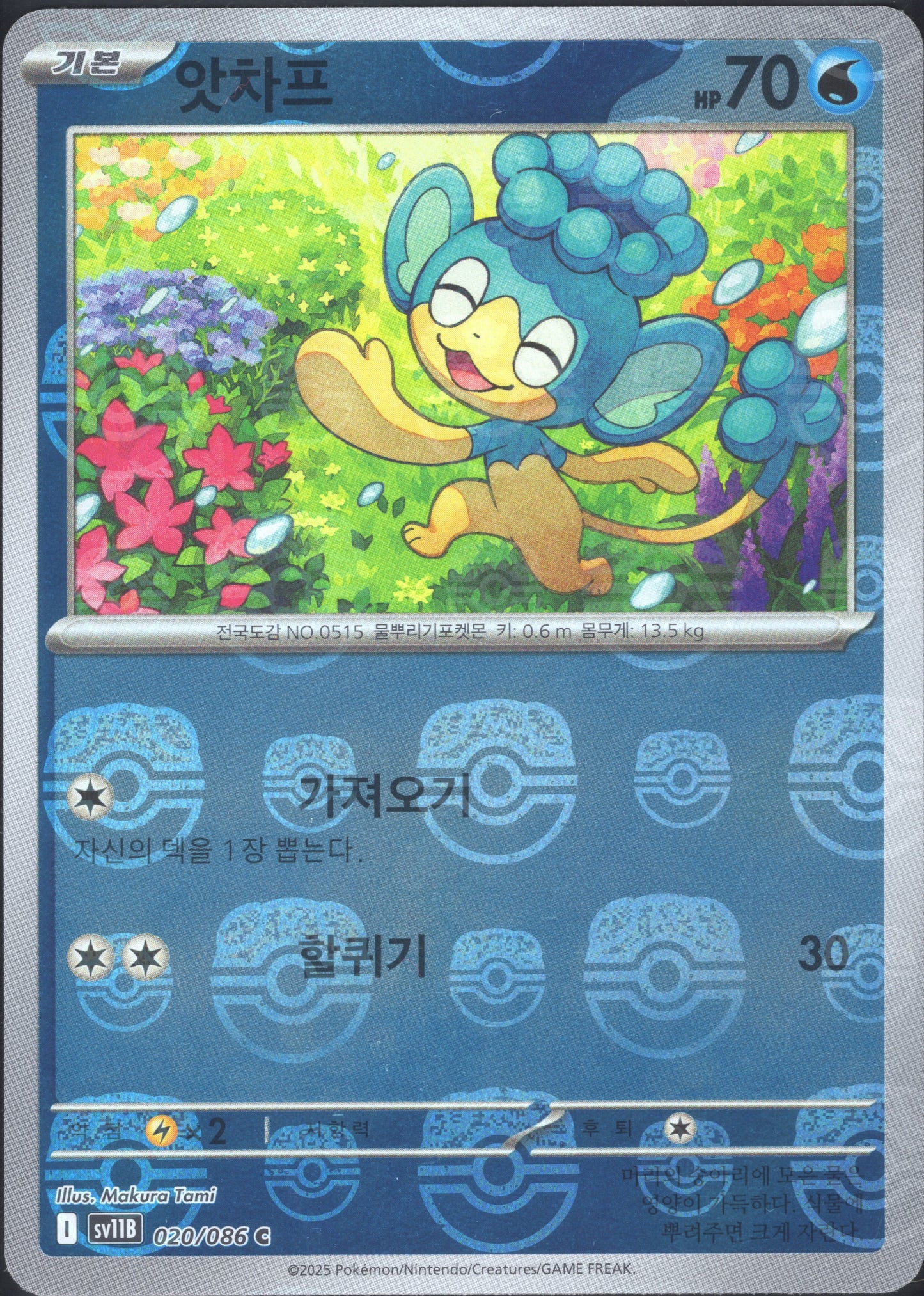 Panpour Master Ball (020/086)[Black Bolt][KR]